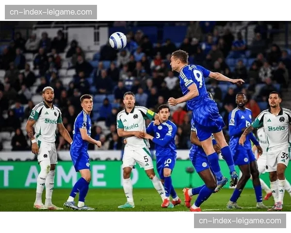 水晶宫纽卡斯尔同积42分 赛季末段目标明确保级